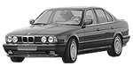 BMW E34 P1802 Fault Code